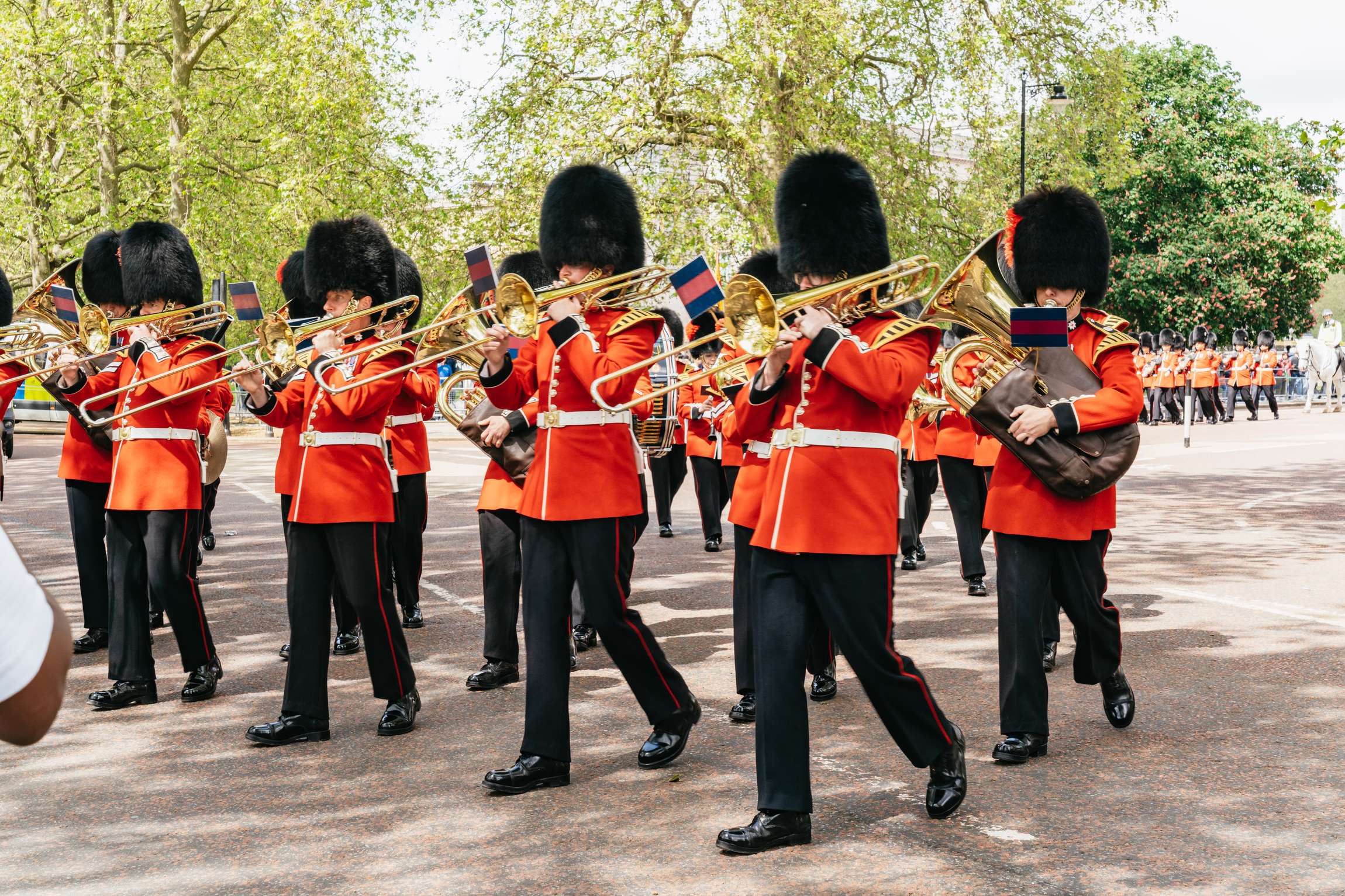 ロンドンバッキンガム宮殿の衛兵交代式ツアー | GetYourGuide ロンドンバッキンガム宮殿の衛兵交代式ツアー | GetYourGuide