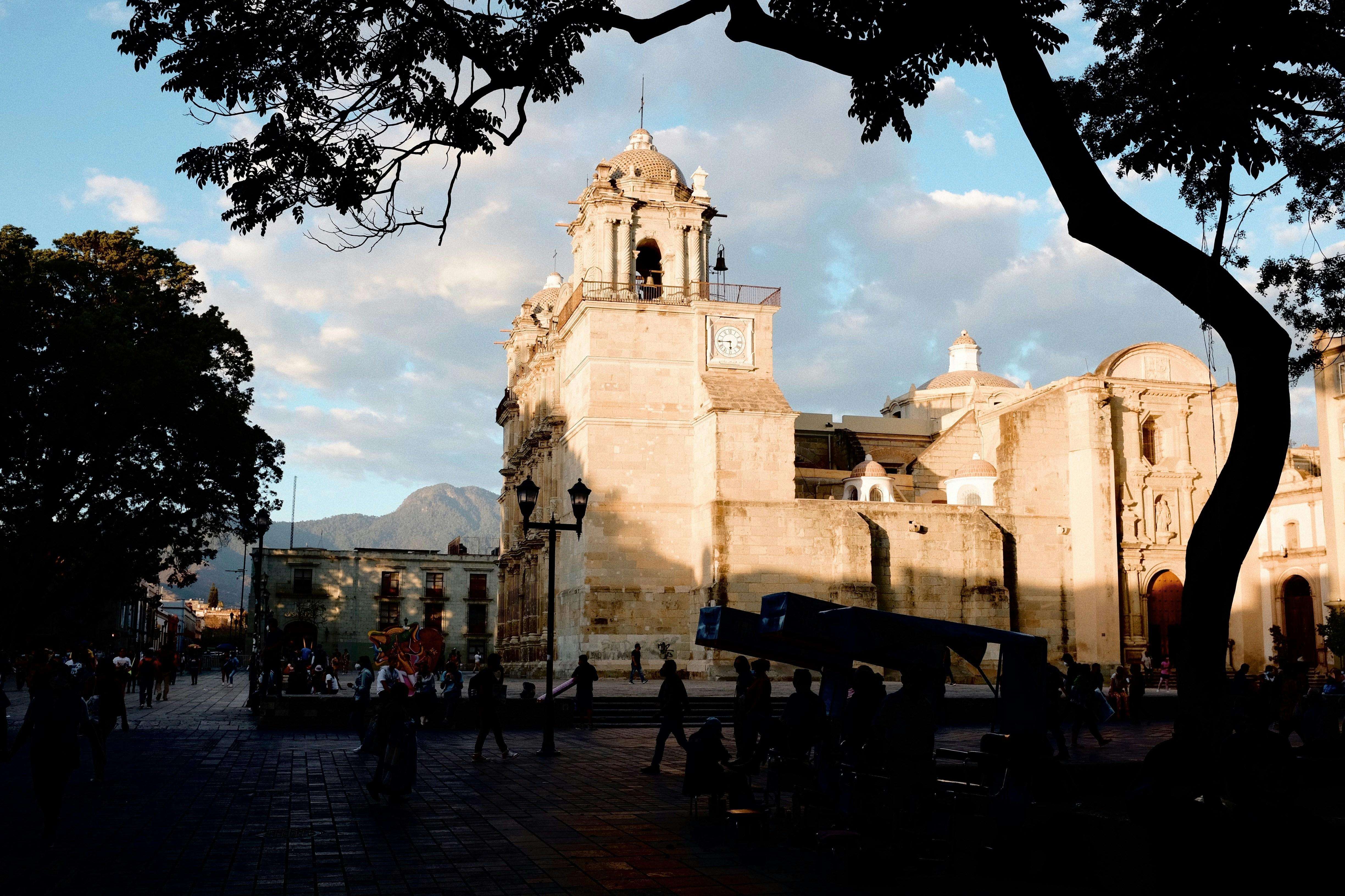 Galería de fotos para redes