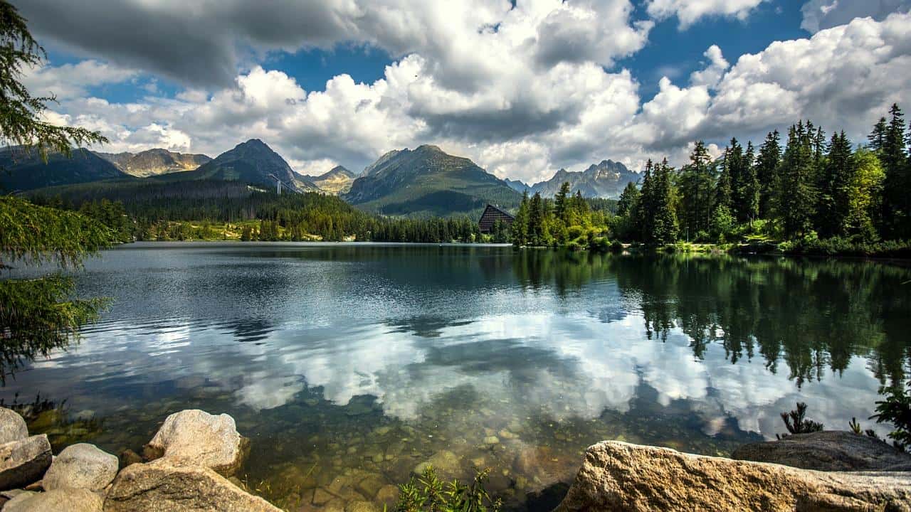 Galería de fotos para redes