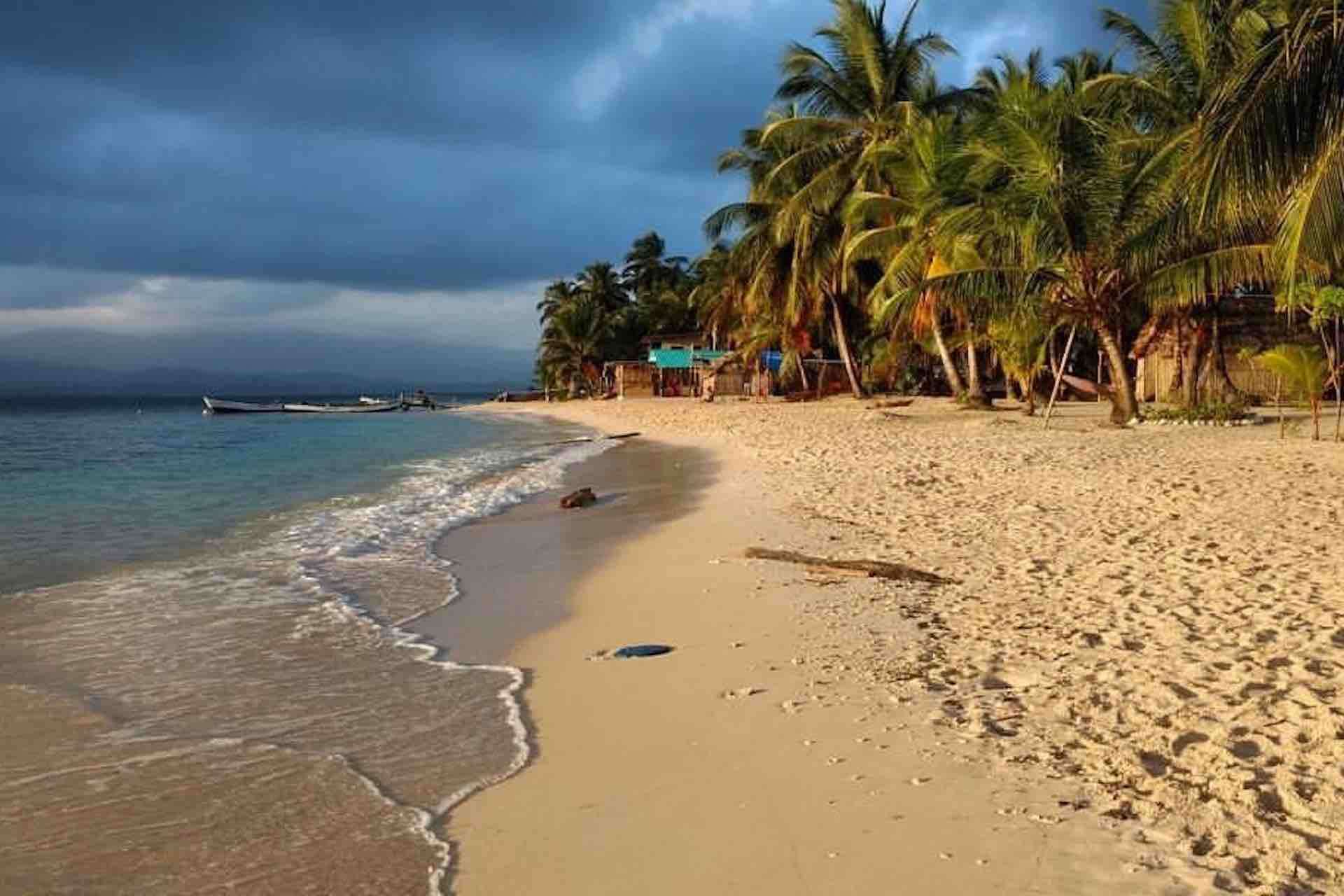 Galería de fotos para redes