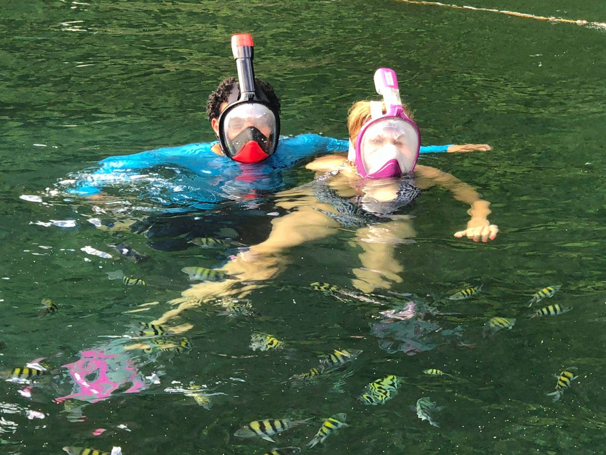 St. Lucia Private West Coast Snorkeling charter to… in this destination