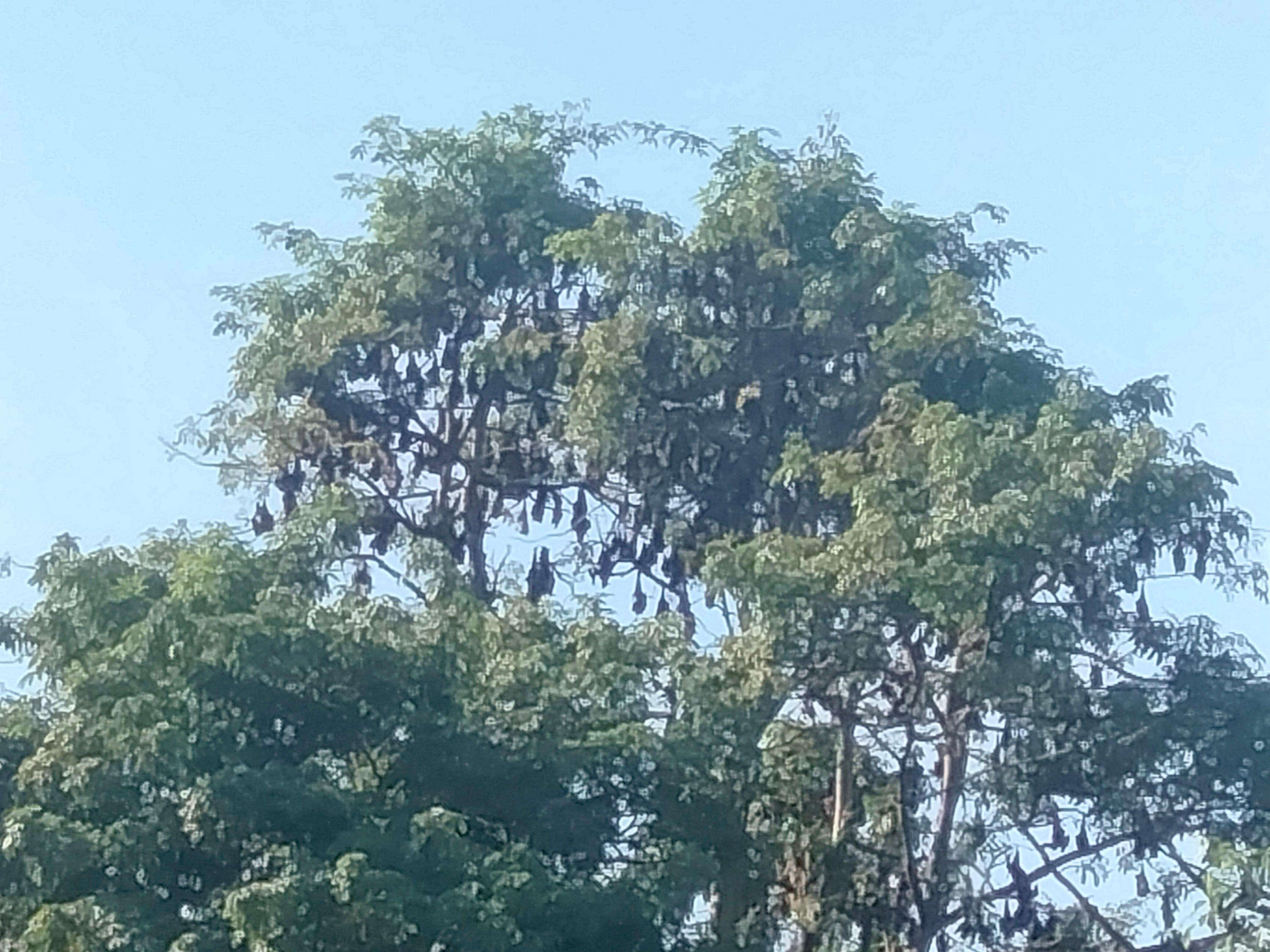 Colagem de mídia