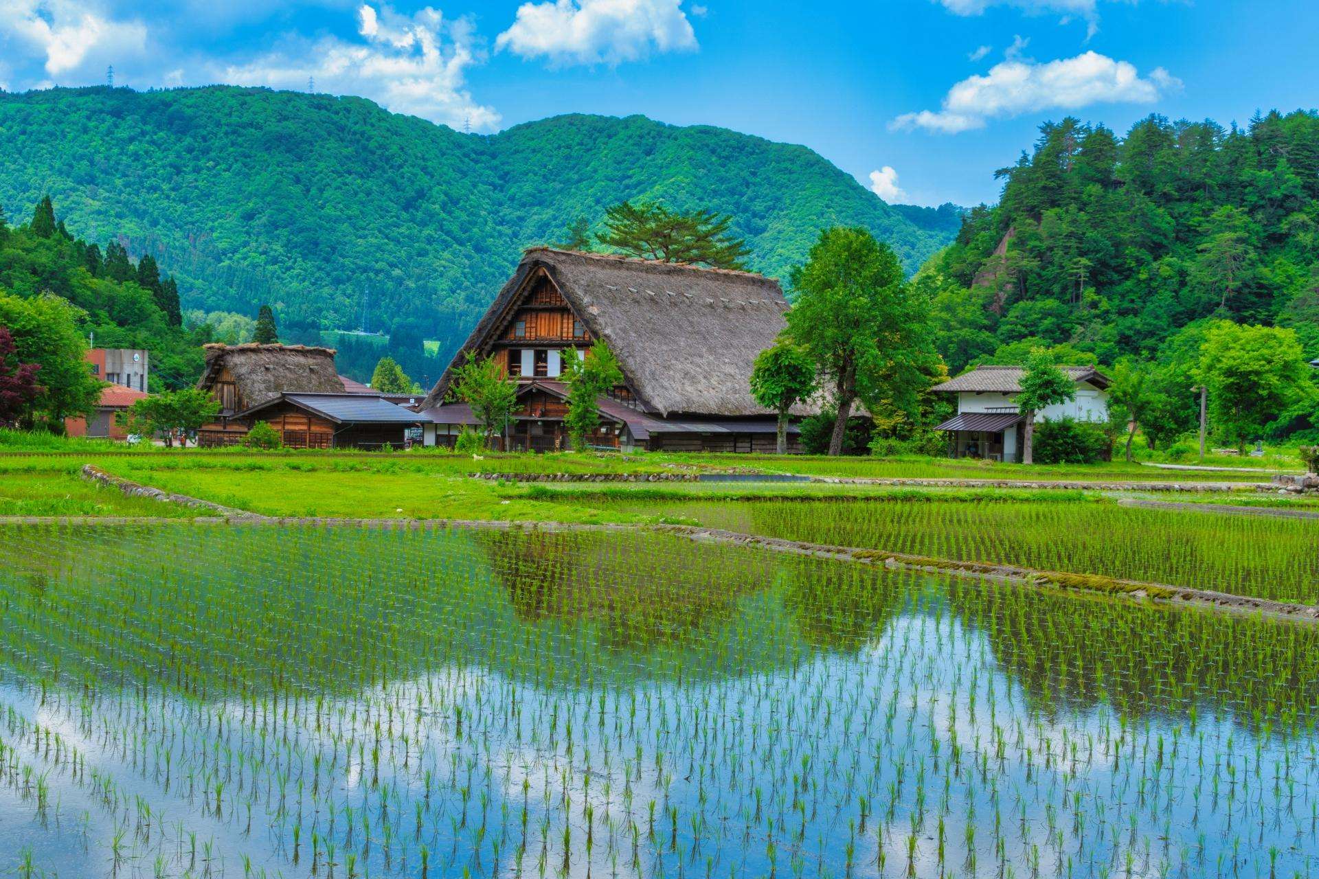 飛騨高山・白川郷＋展望台｜名古屋からの日帰りツアー