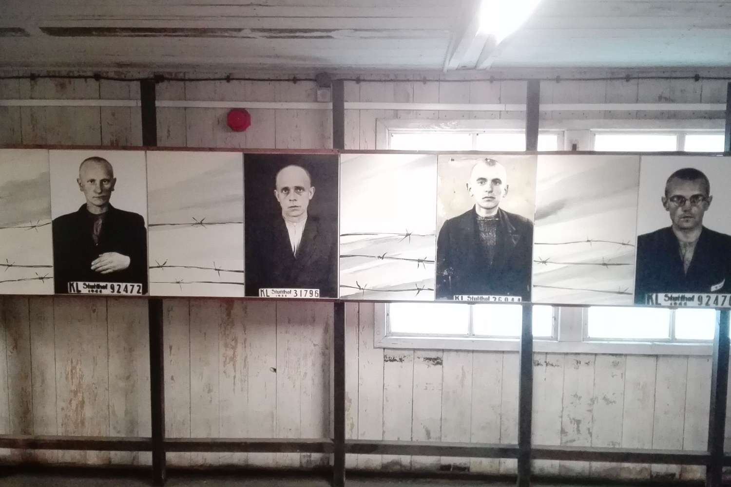 Kolaż medialny