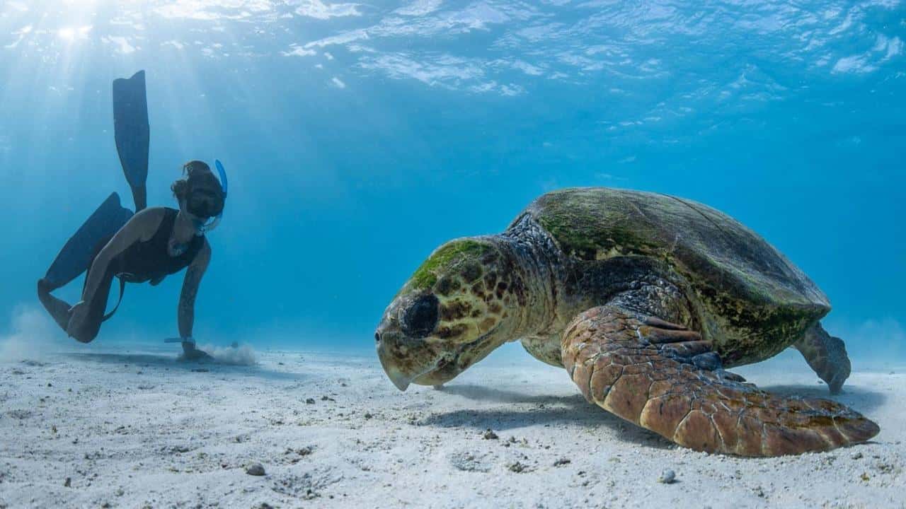 Galería de fotos para redes