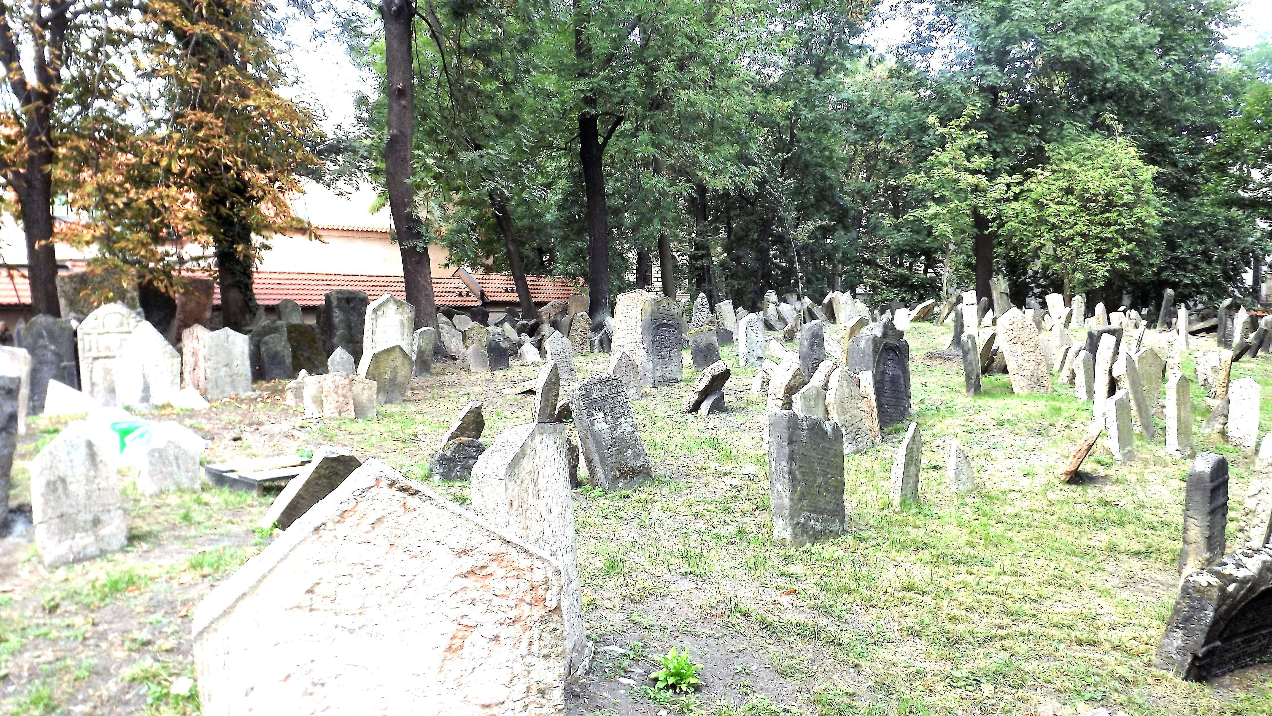 Colagem de mídia