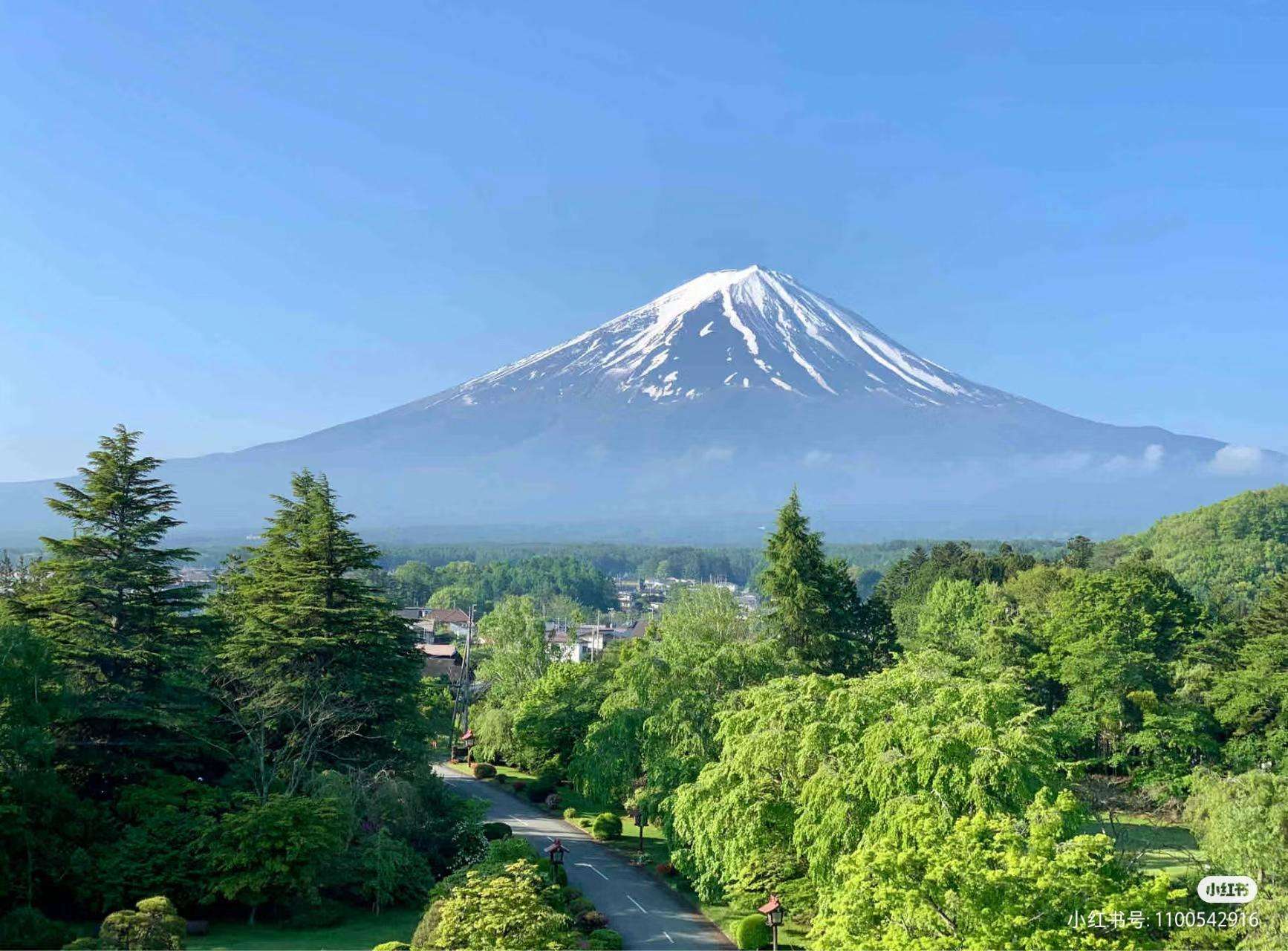 Tokyo: Mt. Fuji Spring DayTrip with Cherry Blossoms & Onsen