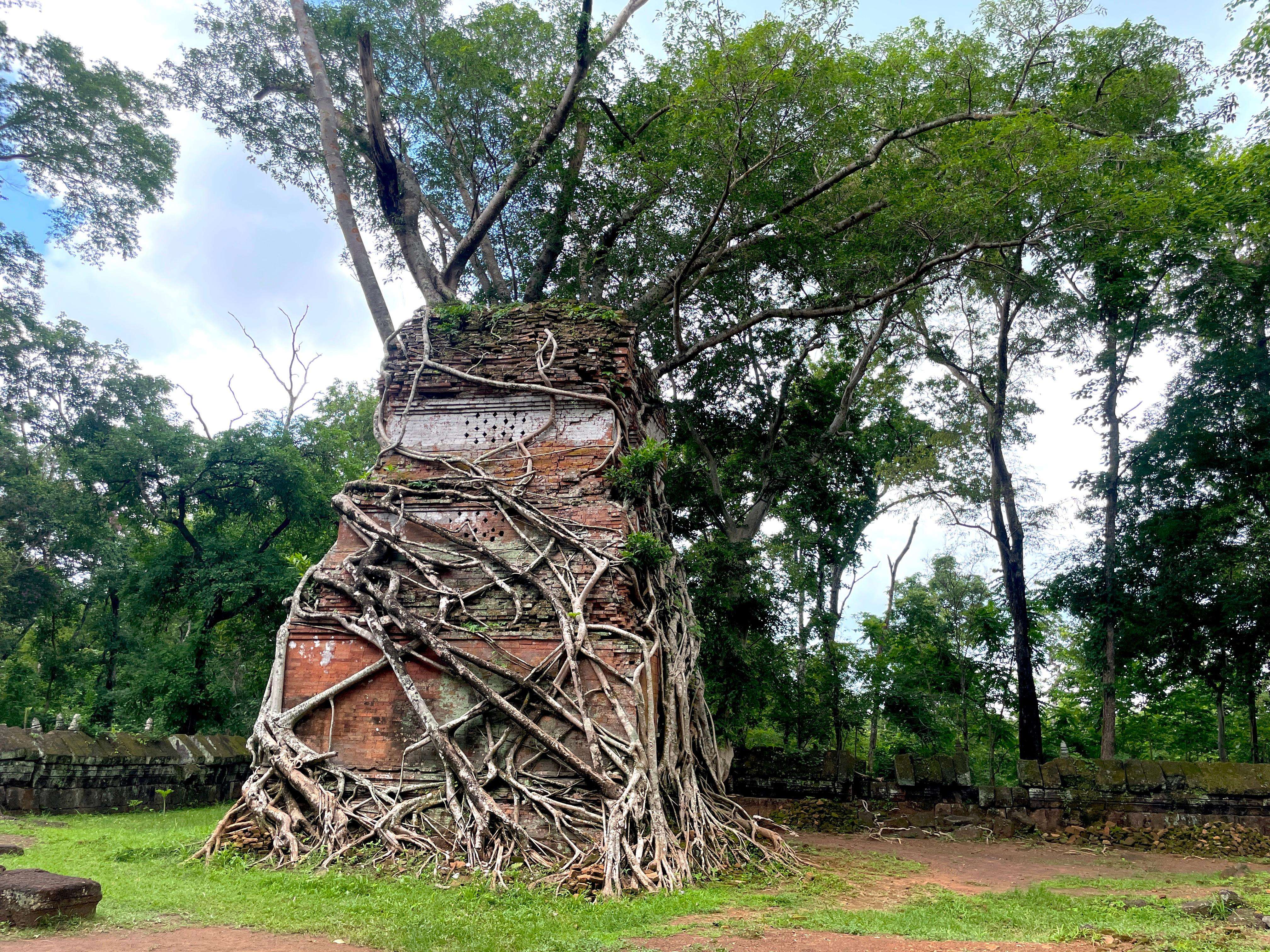 Colagem de mídia