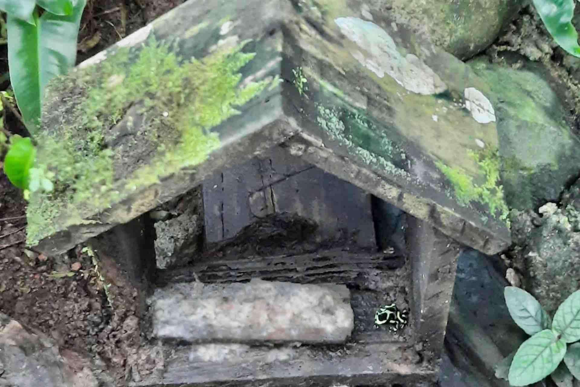 Colagem de mídia