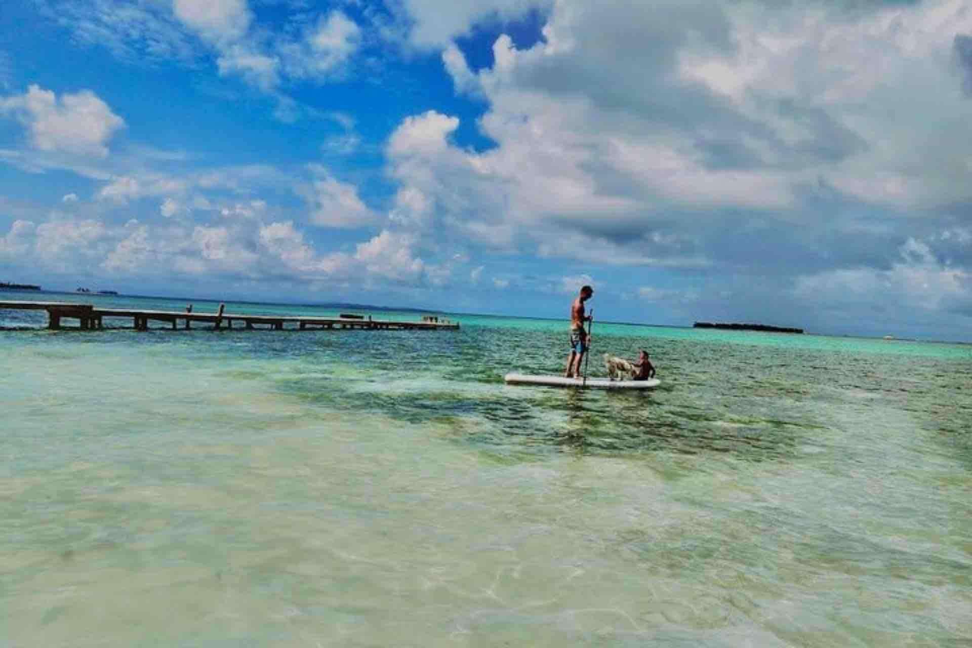 Galería de fotos para redes