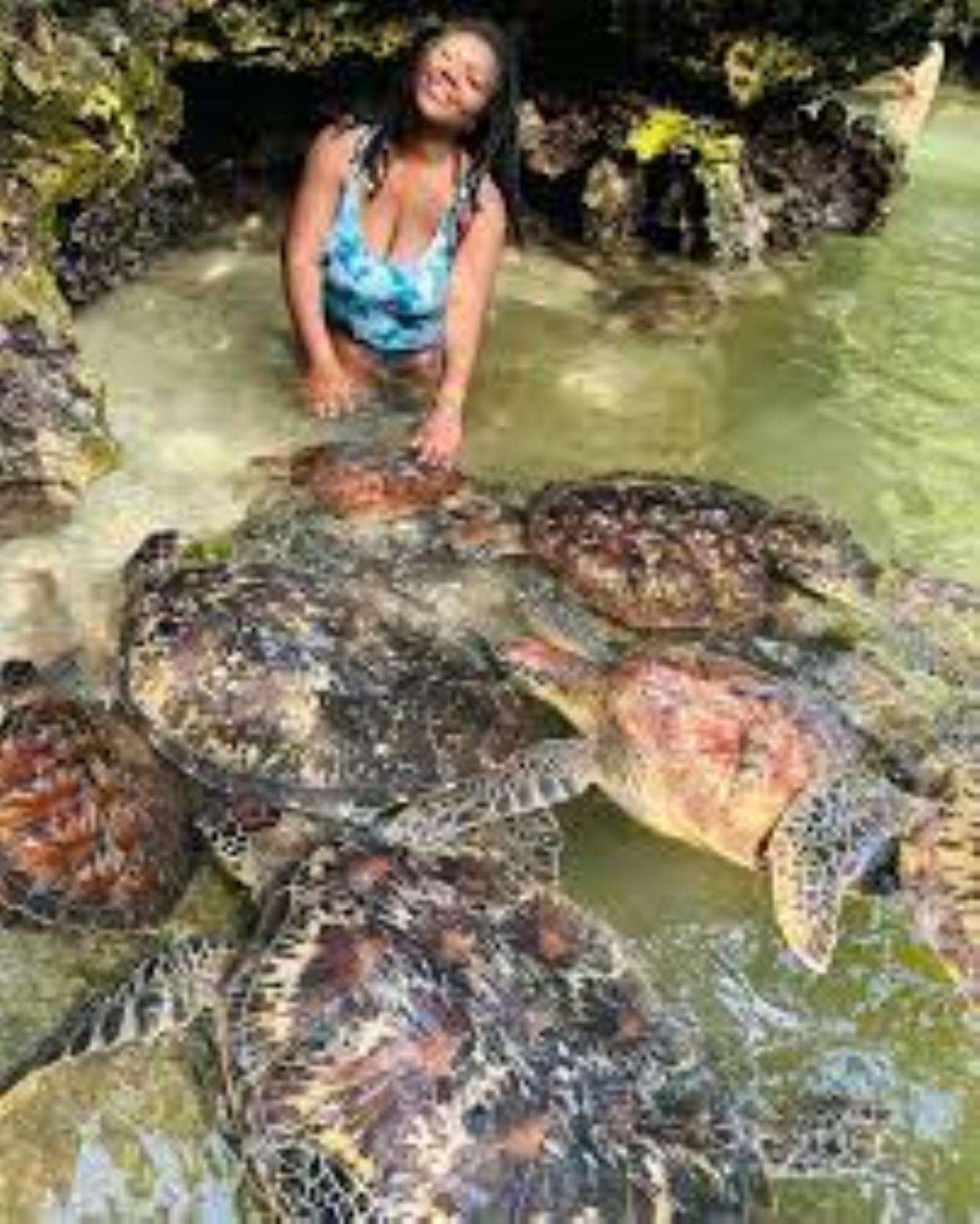 Galería de fotos para redes