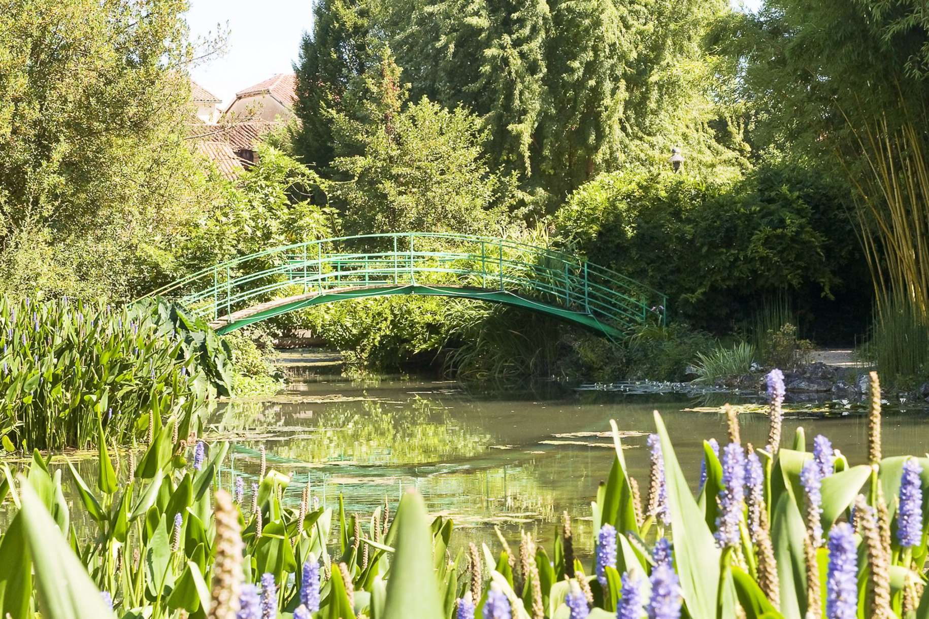 Geführte Minibus-Tour ab Paris zu Monets Garten in Giverny mit Blue Fox Travel