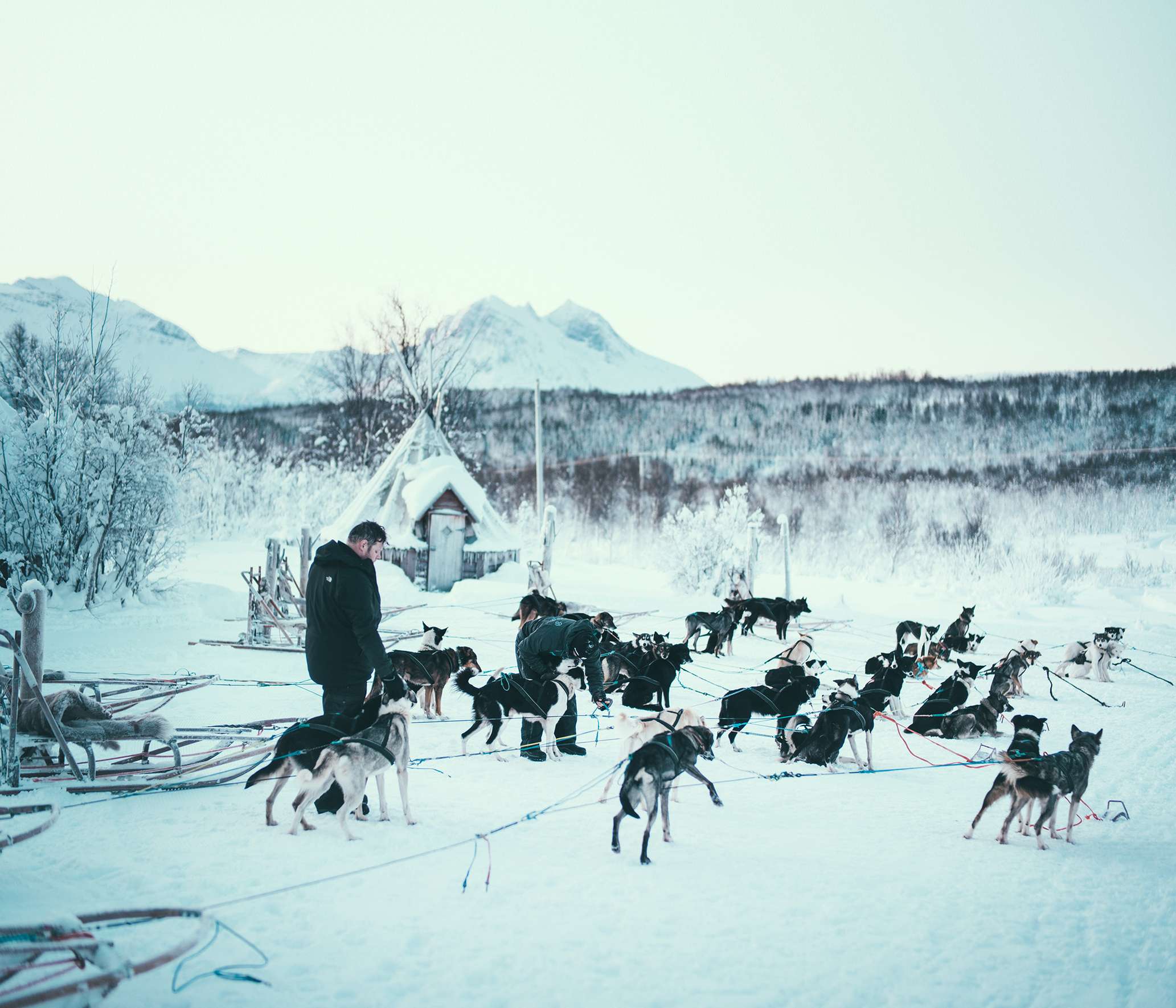 Husky-Schlittenabenteuer zum Selbstfahren in Kvaløya bei Tromsø
