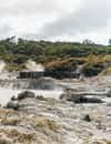 Hells Gate Geothermal Reserve