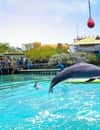Oceanário Ilhas do Rosário