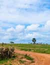 Murchison Falls National Park