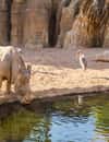 Bioparc Valencia