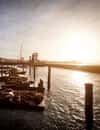 Pier 39