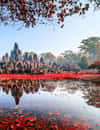 Le Bayon