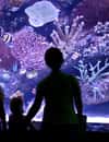 Aquaria KLCC