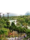 Gardens by the Bay
