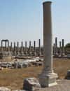 Perge