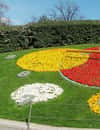 Blumenuhr Genf