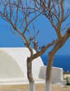 Zamek Oia