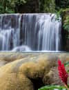 YS Falls