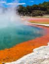 Wai-O-Tapu Thermal Wonderland
