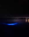 Luminous Lagoon