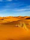 Erg Chebbi