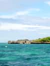Crocodile Island