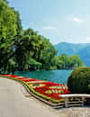 Parco Ciani