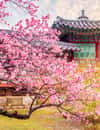 Changdeokgung