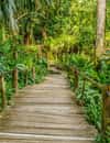 Garden of the Sleeping Giant