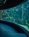 CRETAquarium