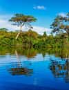 Amazon River
