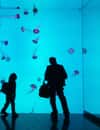 Ripley's Aquarium of Canada