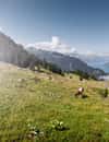 Schynige Platte