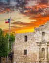 Fort Alamo