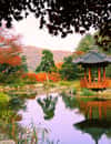 Jardin du matin calme