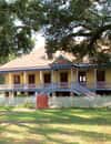 Laura Plantation