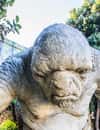 Weta Cave