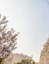 Sagrada Familia