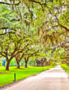 Boone Hall Plantation