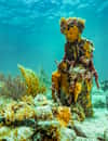 Cancún Underwater Museum