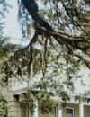 Owens-Thomas House & Slave Quarters