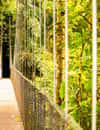 Mistico Arenal Hanging Bridges Park