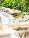 Dunns River Falls & Park